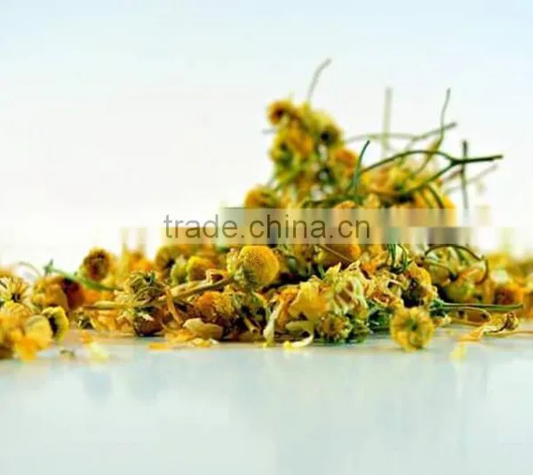 Organic Chamomile photo-2