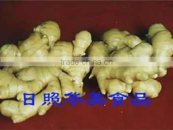 Fresh Ginger in China photo-2