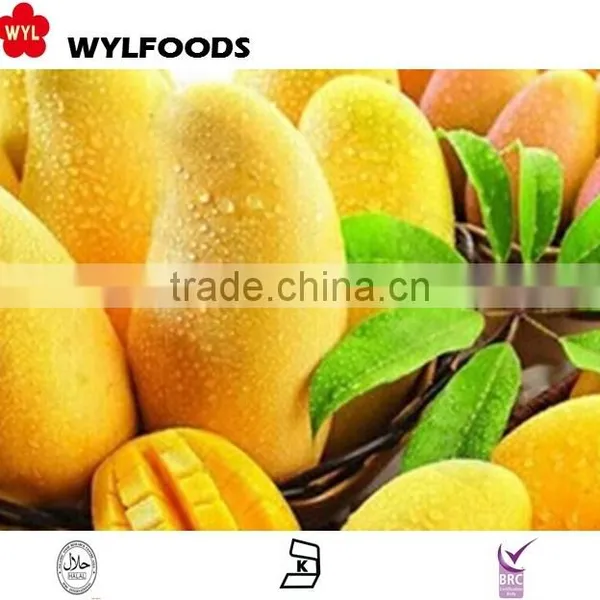 IQF Frozen Mango Dices Hot Sales 2015 photo-6