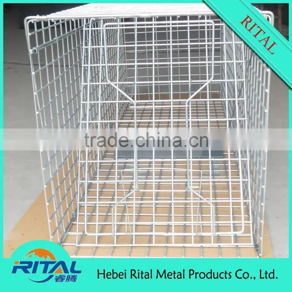 Galvanized Coon Live Cage Trap for Trapping Coon photo-4