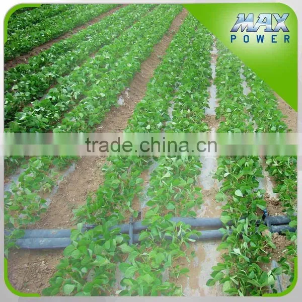 Agriculture Labyrinth Drip Irrigation Tape photo-4
