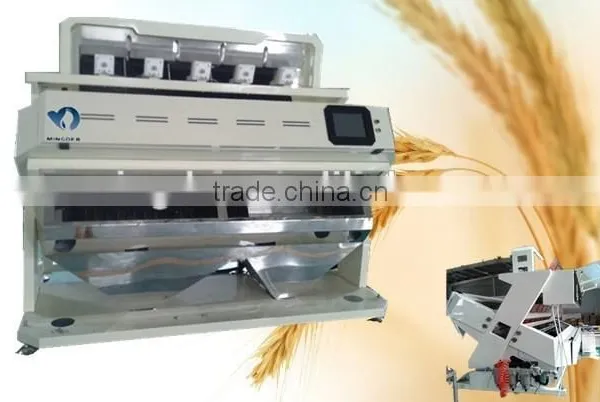 Super Intelligent Rice Color Sorter Machine With Super Service and Maintennance photo-5