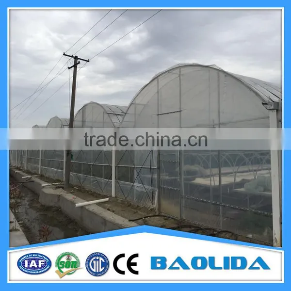 Greenhouse Mesh Made in China photo-4