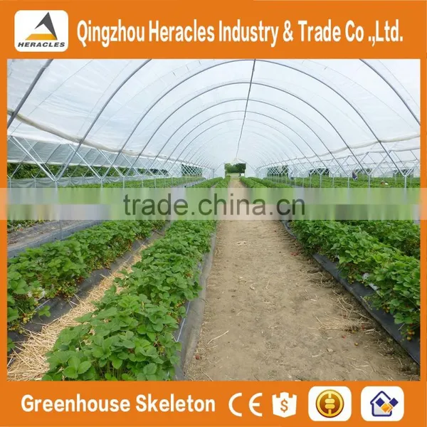 Heracles Trade Assurance High-Tunnel Greenhouse photo-5