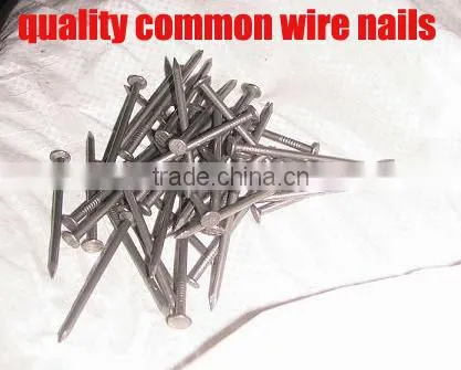 Common Wire Iron Nail for Africa Market photo-6