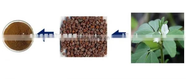 FENUGREEK EXTRACT photo-4