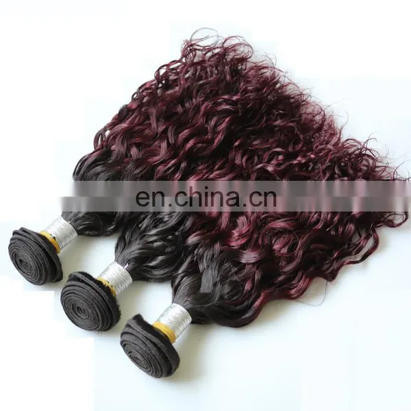 2016 New Ombre Remy Crochet Brazilian Human Hair Extension Factory Wholesale Crochet Braids With Human Hair photo-3