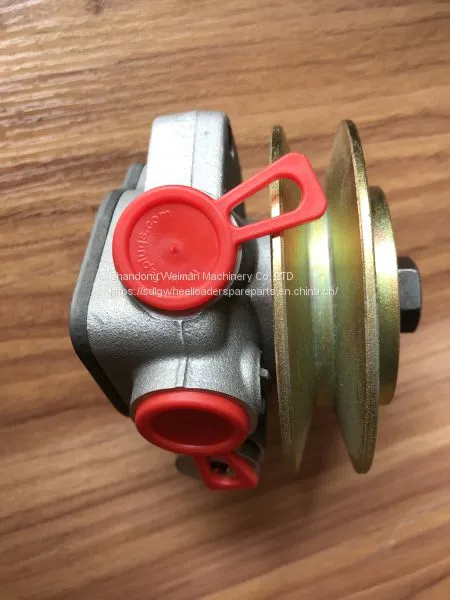 Original LG936L LG956L Wheel Loader Spare Parts 4110001841016 FUEL PUMP D04503573 photo-3