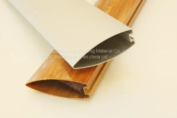 Special Shape Aluminum Square Pass Brand Dance Hall Wholesaler photo-5