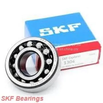 SKF Bearing