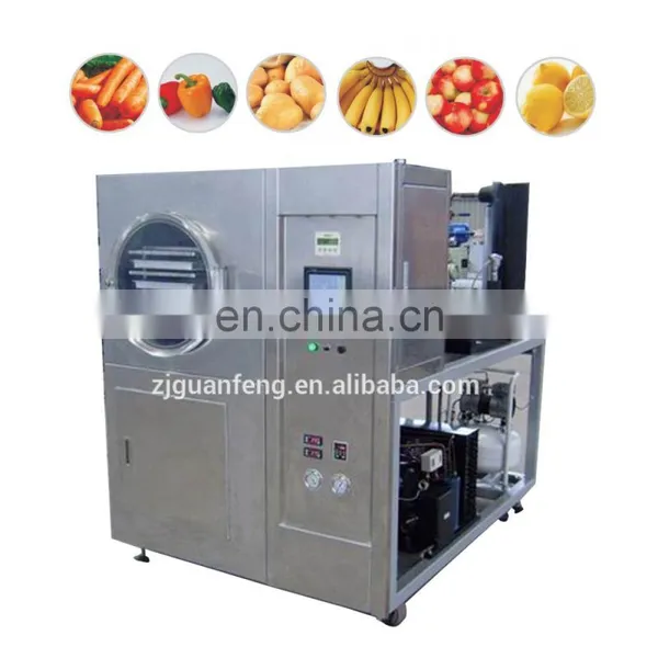 Hot Sale Lab Vacuum Freeze Drying Equipment for Sliced Kiwi Fruit photo-2