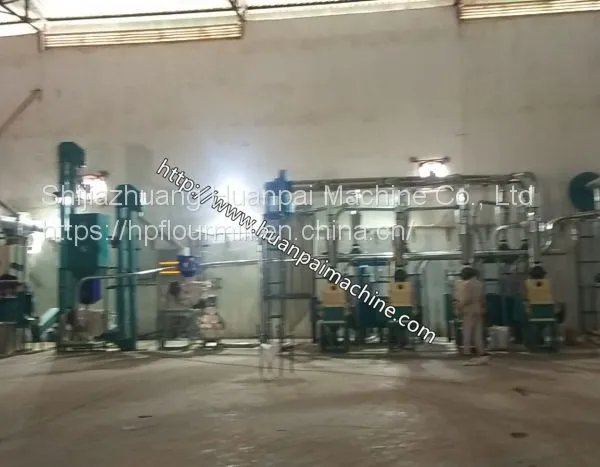 Corn Maize Flour Making Machine Corn Maize Grits Flour Milling Machine Corn Flour Mill photo-2