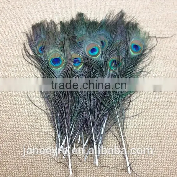 Wholesale 10-12 Inch 25-30cm Dyed Peacock Eye Feathers for Drama Props photo-3