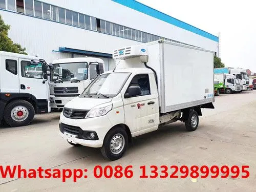 Cheapest Price Gasoline Engine FOTON V1 Refrigerated Minivan 1T Loading Capacity for Sale photo-2