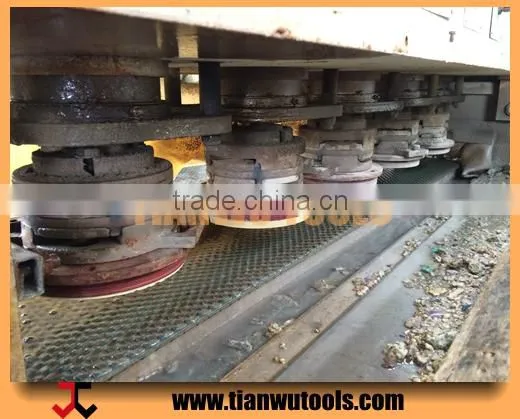 250mm Diamond Grinding and Polishing Plate for Processing Granite Slab