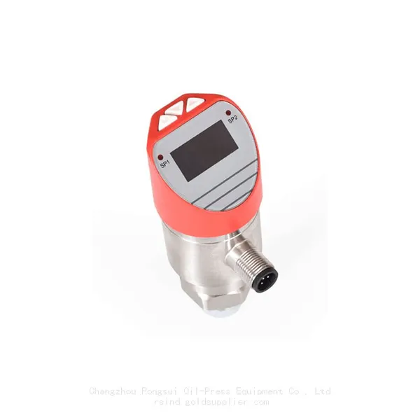 Pressure Switch (4-20mA+2-channel Switch Quantity) photo-2