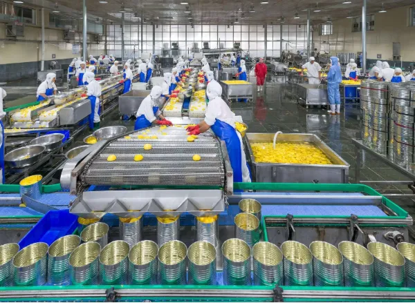 Standard Canned Baby Corn Process Line /produce Machines/plants2 photo-2