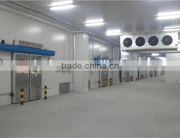 Dragon Fruit Refrigerating Room With Different Temperature photo-4
