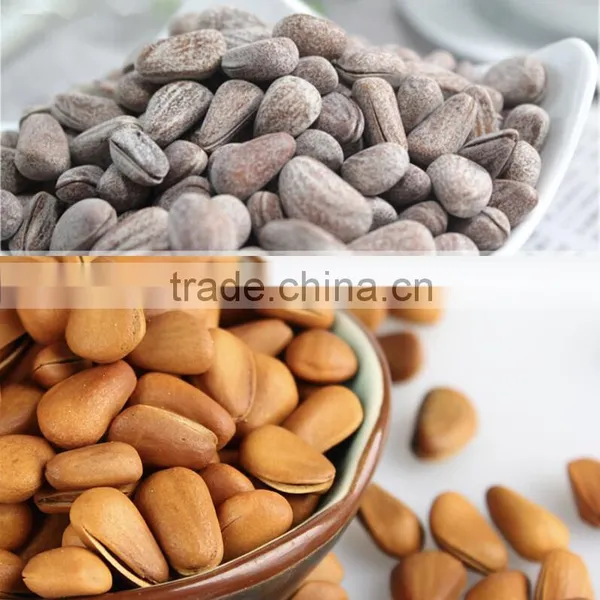 Hazel Pine Nuts Shell Removing Machine Price,macadamia Nut Tapping Machine on Sale photo-3