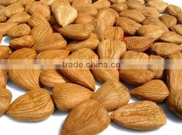 Bitter Apricot Kernels for Sale