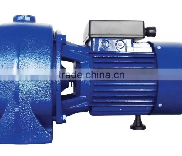 High Quality AUTOJDW Automatic Booster Pump photo-4