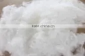 Hot-selling Polyester Fiber Cotton Wadding and China Factory