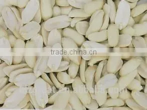 Shandong Origin Blanched Peanut Split for Sale photo-2