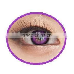 Wholesale I-CODI KOREA Color Contact Lens 1 Year Naty b Contact Lens photo-2
