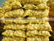 Fresh Chinese(holland) Potato