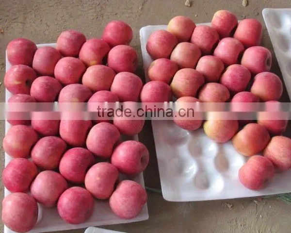 Grade AA Juicy,sweet Red Fuji Apple photo-3