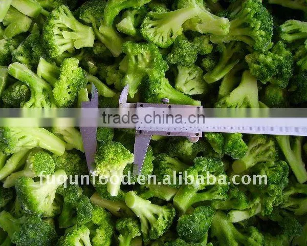 IQF Broccoli, Frozen Broccoli