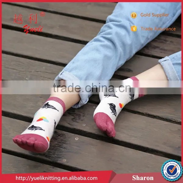 Swallow Five Toe Sock Used Lonati Sock Knitting Machines Soft Sock photo-4