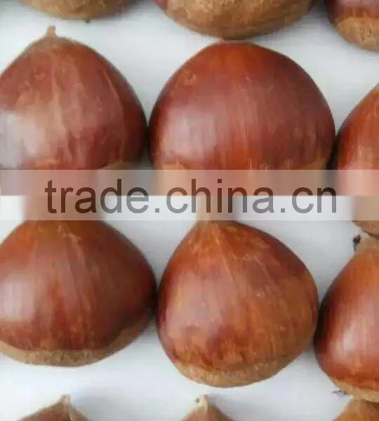 Organic Water Chestnut Best Quality photo-2