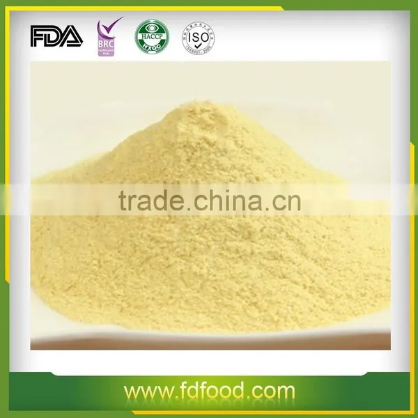 Pure Natural and Well Sold Freeze Dried Pumpkin photo-6