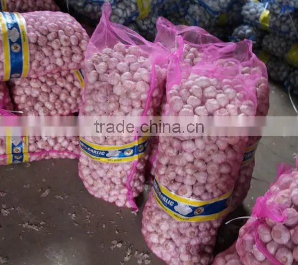 China Natural Fresh Garlic Price From Cold Storage photo-4
