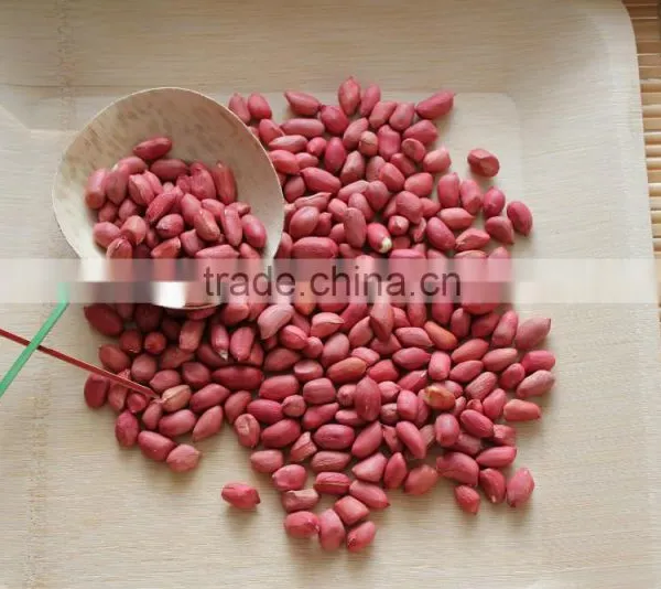 New Crops Red Skin Peanut Kernel photo-2