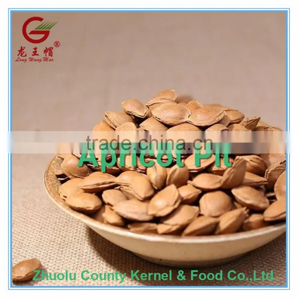 Apricot Pit