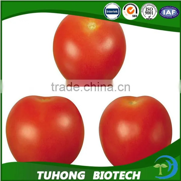 Strong Fruit Setting Pink Xi Hong Shi Zhong zi Hybrid Tomato Seeds Tomato Tree Seed
