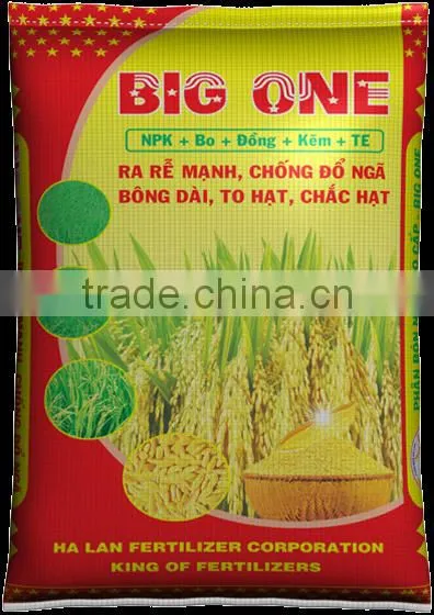 BIG ONE FOR RICE