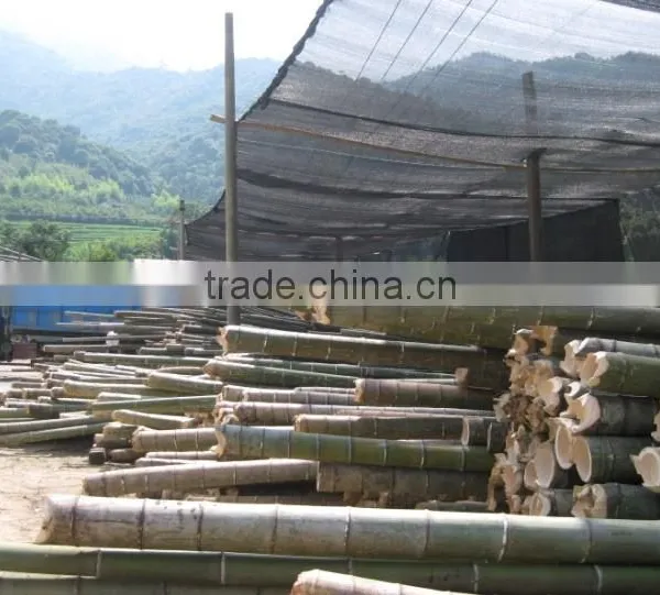 Eliminate Peculiar Smell of the Bamboo Carbon photo-5
