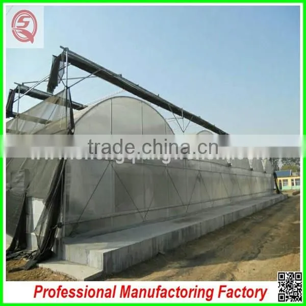 Hot Sale 6.4m Agricultural Multi-span Plastic Film Greenhouse for Planting