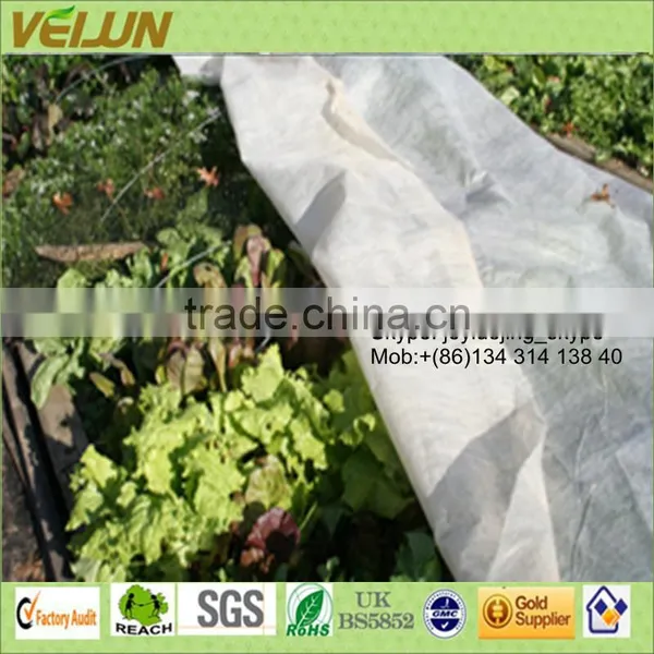 Dongguan Veijun Fabric White Nonwoven