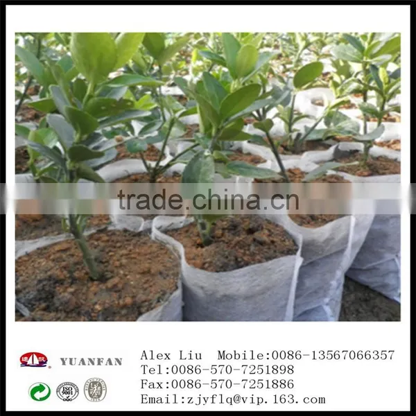 Landscape Gardening pp Nonwoven Fabrics Used To Protect the Plant Roots photo-5