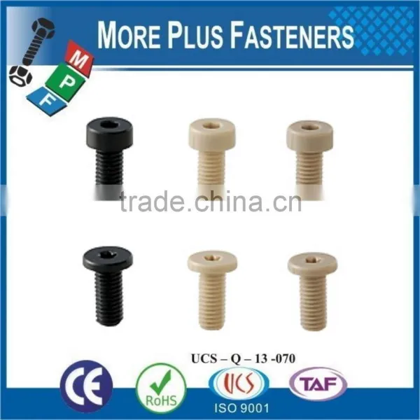 Made in Taiwan Hex Socket Plastic Cap Screw Cross Recess Pan Head Plastic Material Screw photo-3