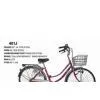 Trditional Bike