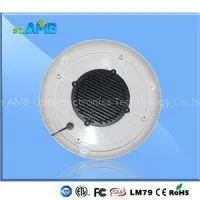 LED Ceiling Light