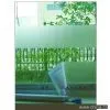 Sell Embossed Self Adhesive Foil