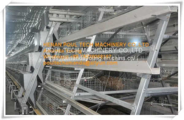 Oman Poultry Farming A Frame Automatic Small Chicken Cage & Poultry Farm Equipment With Drinking & Feeding System for Baby Chick photo-2