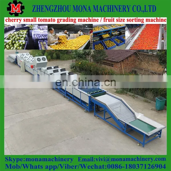 Size Fruit Sorting Machine by Fruit Diameter / Small Size High Speed Fruit Grading Machine photo-4