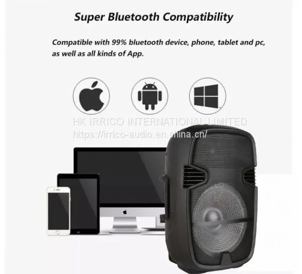 IRRICO 15inch Portable Bluetooth Speaker, Pro System, Professional Audio photo-2